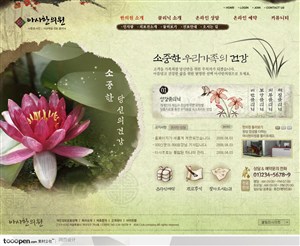 日韩网站精粹-绿色系东方古典养生茶文化网站主页