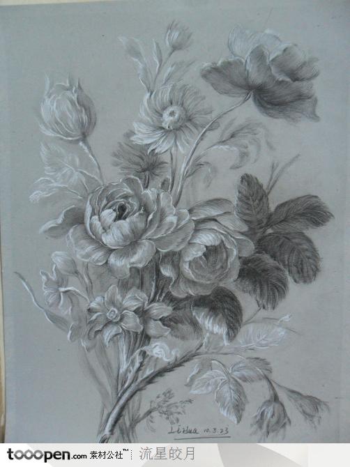 铅笔画素描花朵花卉