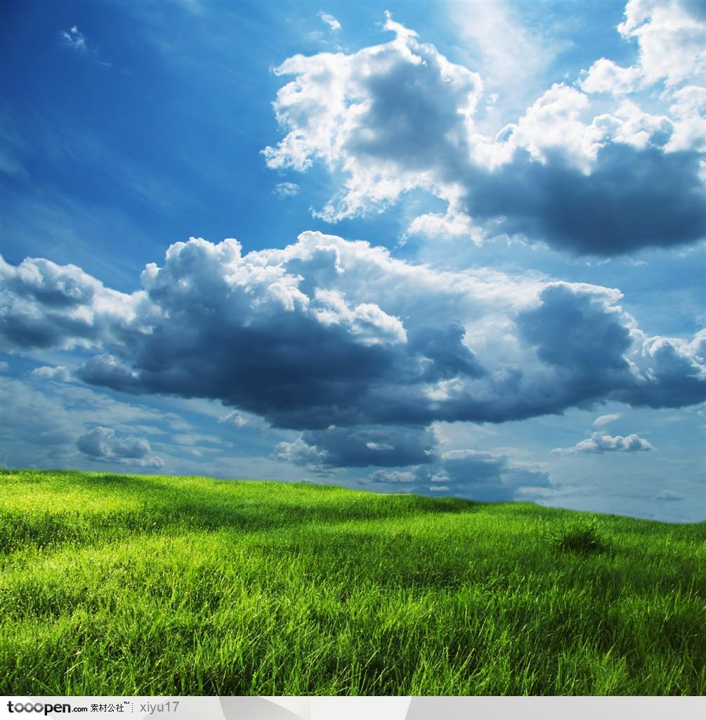 美丽天空-白云下绿油油的草地