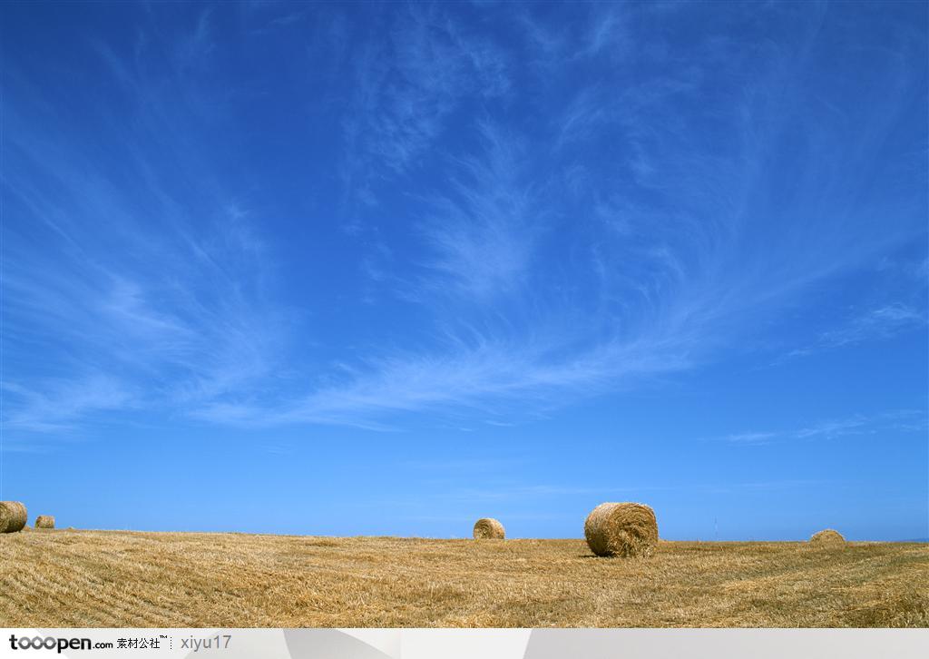 美丽天空-蓝天下的卷草堆