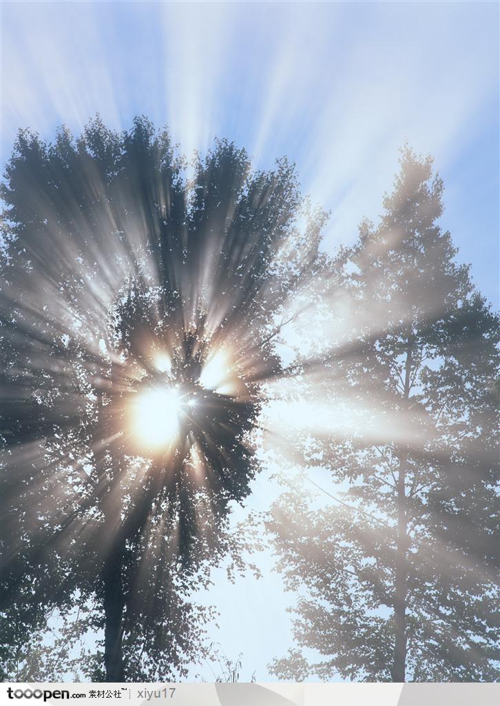 美丽天空-阳光透过的树阴
