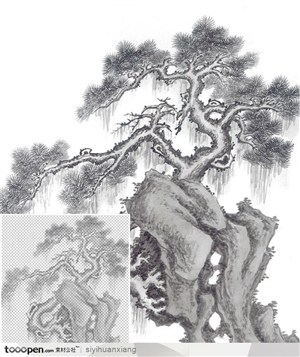 石头上的水墨松树中国写意国画高清透明扣底分层素材PSD素材