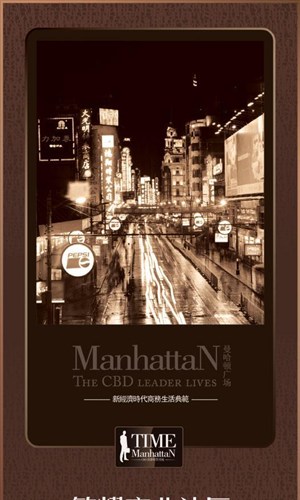 曼哈顿 房地产广告路旗欧洲街道夜景