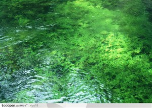 细水长流-绿油油的水面