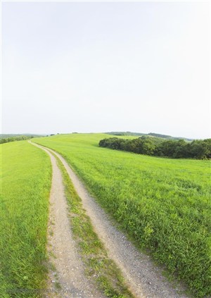 草地天空-草地上的道路