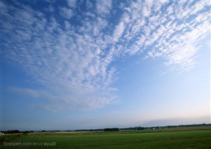 平原草原-白云下的绿草地