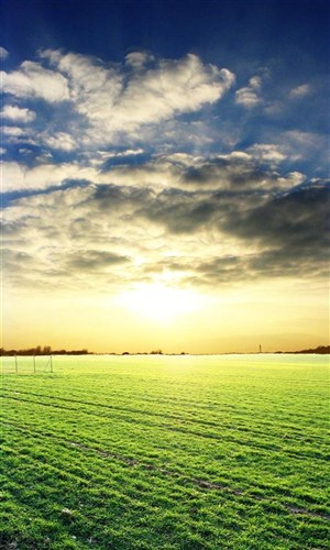 平原草原-蓝天下的草原