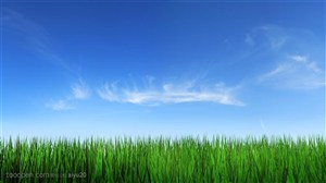 平原草原-蓝天下的草原