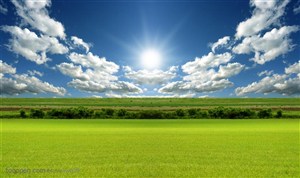 平原草原-蓝天白云下的草地