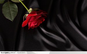 黑色丝绸上的红玫瑰