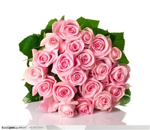 情人节粉红色的玫瑰花