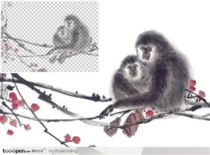 两只相拥的猴坐在树枝上中国写意国画高清透明扣底