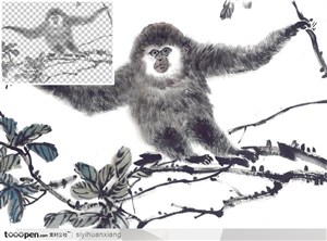 攀着树枝的猴中国写意国画高清透明扣底