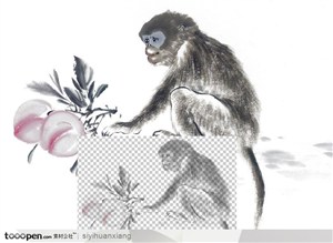 抓着桃枝的猴中国写意国画高清透明扣底