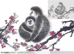 两只拥抱的猴在梅花中中国写意国画高清透明扣底