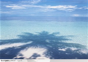 海滩风景-海水中的椰树影子