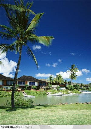 海滩风景-椰树下的房屋
