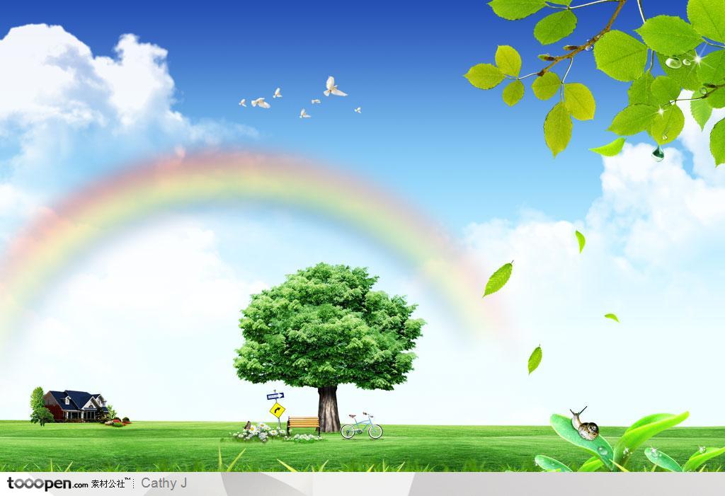 绿色草地上的绿色大树和蓝天白云彩虹背景