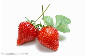 新鲜水果-两个挨在一起的新鲜草莓和叶子