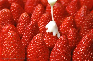 新鲜水果-清洗干净竖着摆整齐的其中一颗新鲜草莓淋上了牛奶