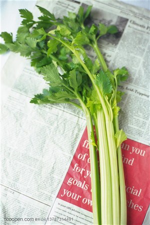 营养美食-在英文报纸上摆着的一颗西芹菜