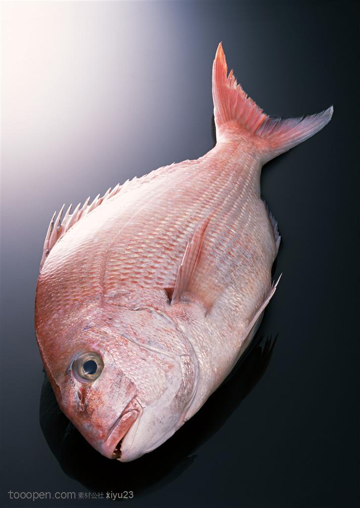 新鲜鱼类-倒挂的鲳鱼