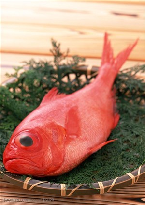 新鲜鱼类-盘子中的红色鲜鱼