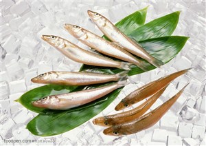 新鲜鱼类-竹叶上的鲜鱼秋刀鱼