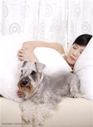 宠物女孩-沙发的狗狗与睡熟的美女