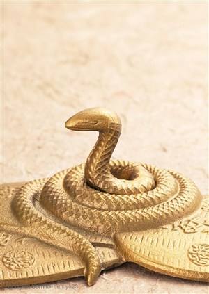 野生世界-纯金小蛇