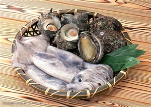 海洋生物-放在簸箕里的鱿鱼、海螺、扇贝等海鲜