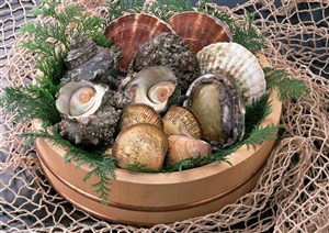 海洋生物-放在木桶里的扇贝、海螺等海鲜
