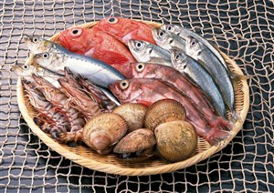 海洋生物-放在簸箕里的鱼、红色海鱼、海螺、基围虾等海鲜