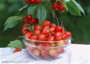 新鲜水果-樱桃树下透明碗里装着樱桃