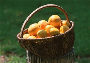 新鲜水果-放在木桩上的竹编篮子里的橙子和柠檬