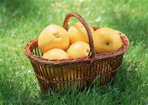 新鲜水果-放在草地上柳编篮子里的梨子