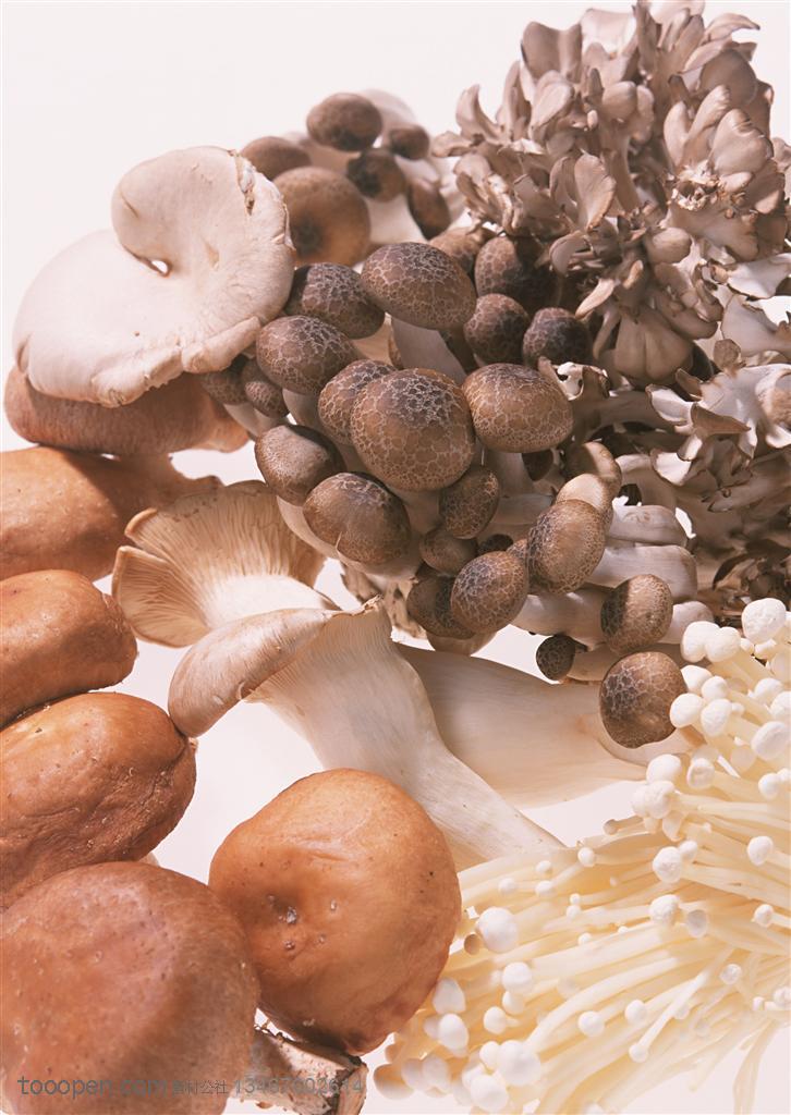 新鲜蔬菜-金针菇、小蘑菇、等香菇的特写