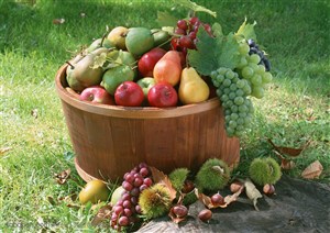 新鲜水果-木墩旁草地上的木质桶子里装着葡萄、苹果、梨子等新鲜水果