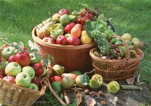 新鲜水果-放在木墩上的三大篓子苹果、板栗、梨子等新鲜水果