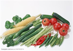 新鲜蔬菜-斜着摆放在一起的西红柿、辣椒、西葫芦、玉米、黄瓜、芦笙等新鲜蔬菜
