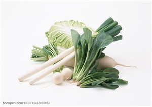 新鲜蔬菜-架在大白菜和白萝卜上的大葱、小萝卜和菠菜