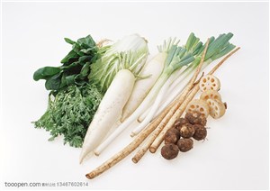 新鲜蔬菜-斜着摆放在一起的白萝卜、淮山、蘑菇、菠菜、大葱等新鲜蔬菜