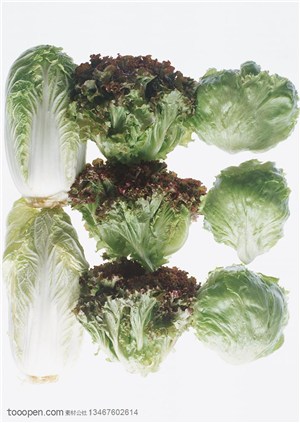 新鲜蔬菜-整齐的摆放在一起的大白菜和生菜