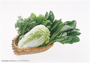 新鲜蔬菜-摆放簸箕的大白菜、小白菜、芹菜