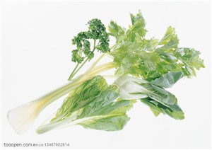 新鲜蔬菜-摆在一起的芹菜和白菜