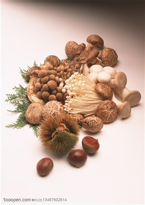 堆放在一起的金针菇、香菇、小蘑菇和板栗