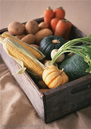 新鲜蔬菜-放在麻布袋上的木质盒子里装着玉米、南瓜、芹菜、土豆、胡萝卜等