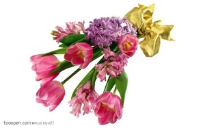 花卉物语-一束斜放的郁金香