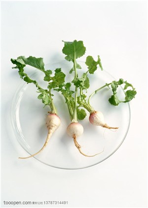 新鲜蔬菜-放在透明碗里的三颗小萝卜