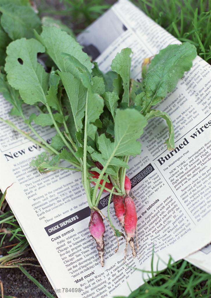 新鲜蔬菜-摆在报纸上的红萝卜